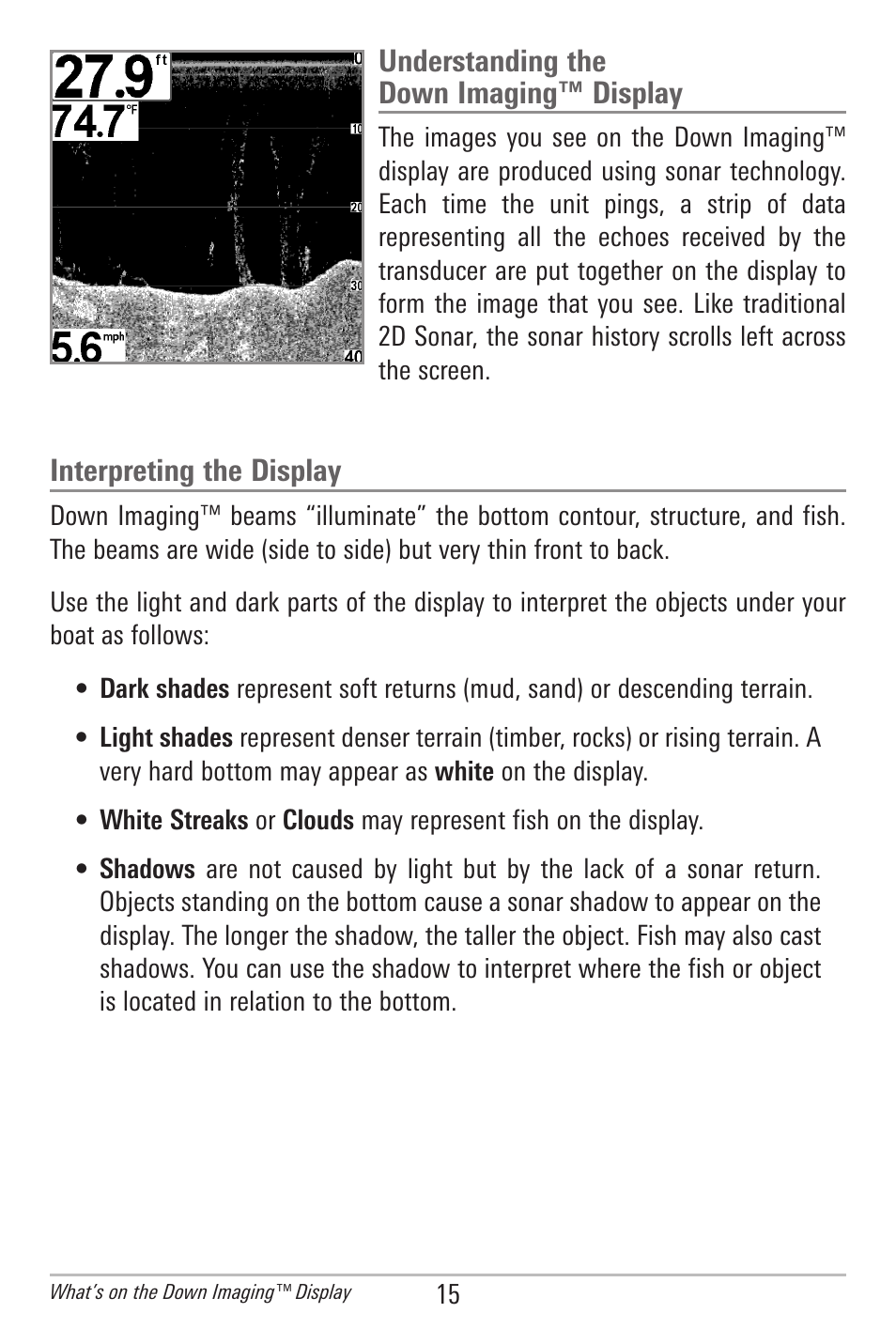 Understanding the down imaging™ display, Interpreting the display | Humminbird 561 User Manual | Page 22 / 83