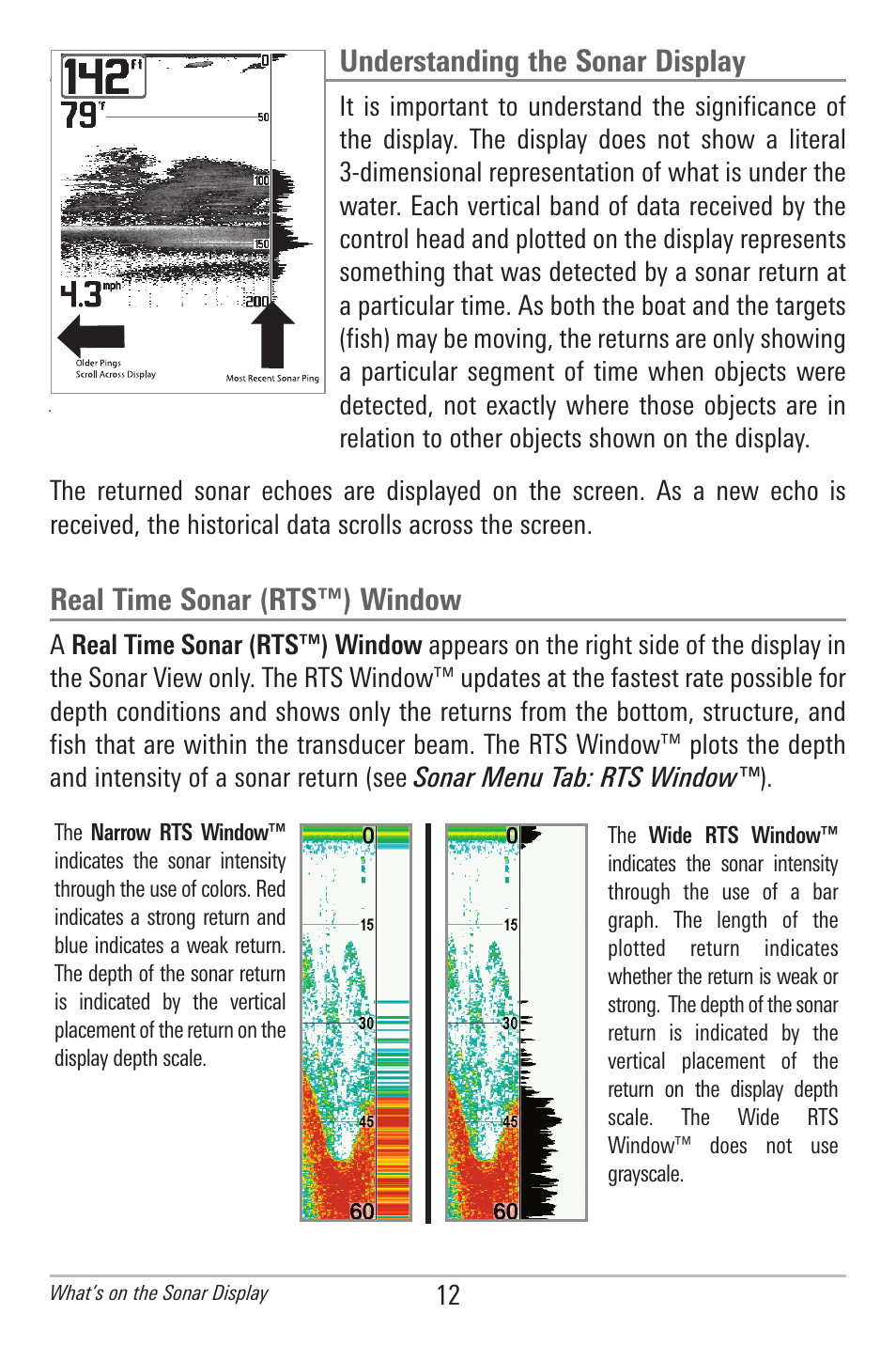 Understanding the sonar display, Real time sonar (rts™) window | Humminbird 778C User Manual | Page 20 / 107