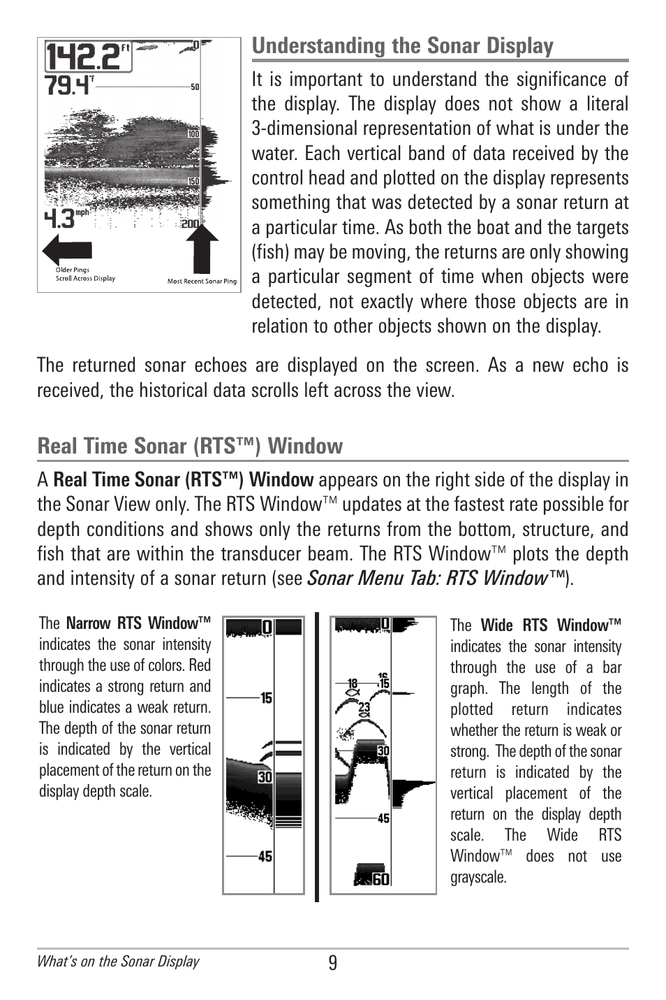 Understanding the sonar display, Real time sonar (rts™) window | Humminbird 300 SERIES 345C DI User Manual | Page 18 / 94