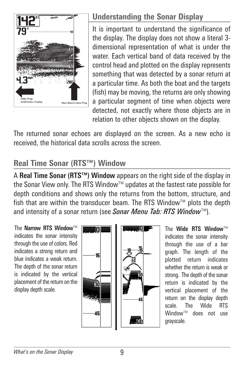 Understanding the sonar display, Real time sonar (rts™) window | Humminbird 596C HD DI User Manual | Page 18 / 96