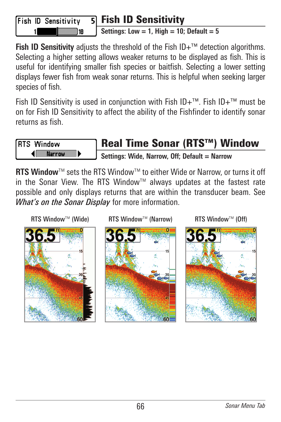 Fish id sensitivity, Real time sonar (rts™) window | Humminbird 596C HD DI User Manual | Page 75 / 96