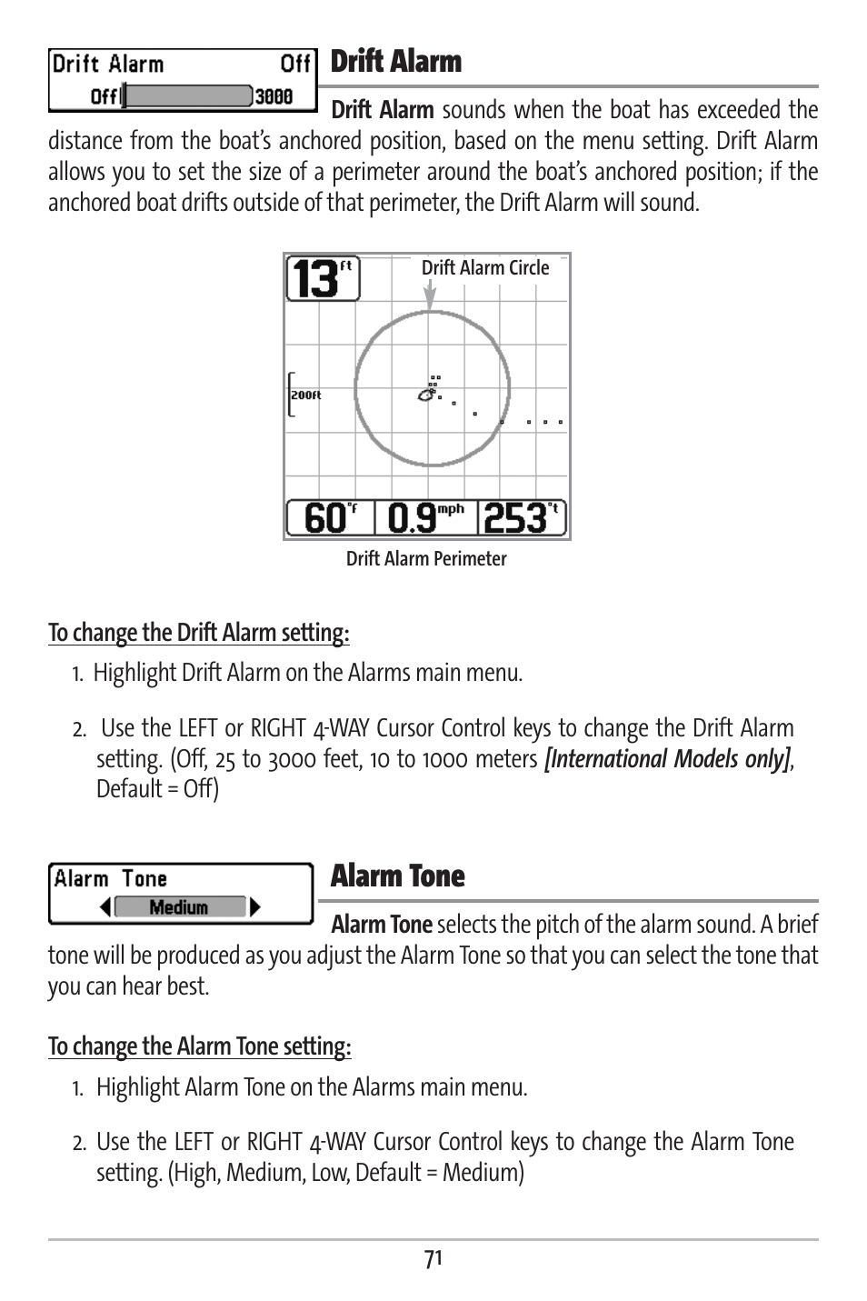 Drift alarm, Alarm tone | Humminbird 161 User Manual | Page 78 / 112