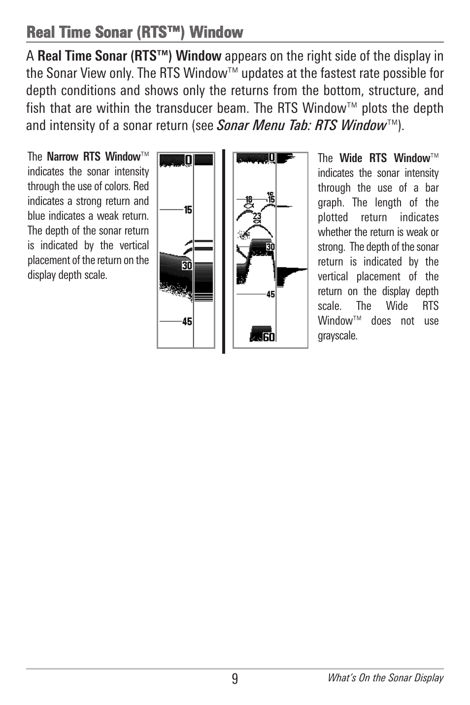 Real time sonar (rts™) window | Humminbird 597ci User Manual | Page 19 / 143