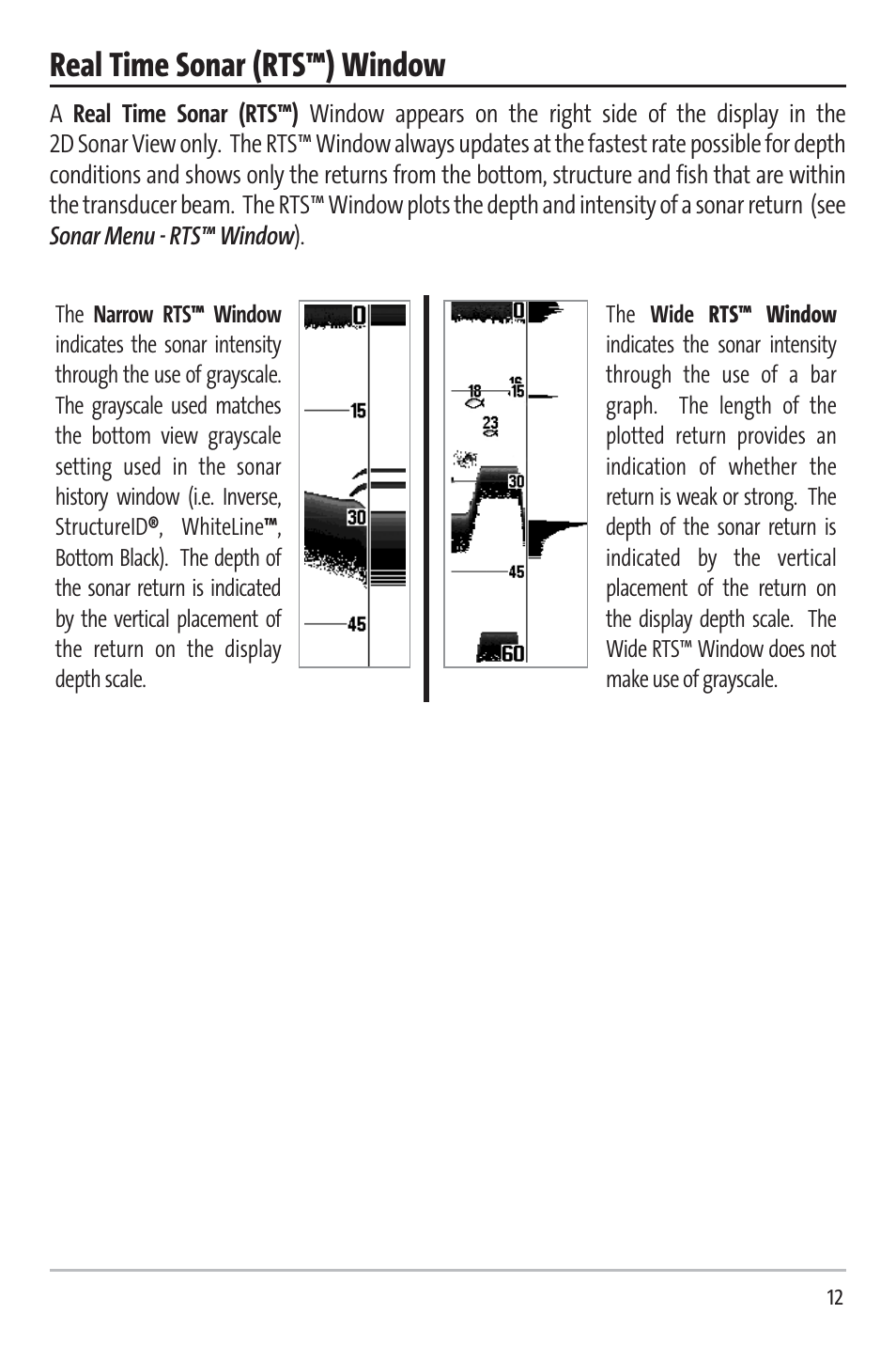 Real time sonar (rts™) window | Humminbird 531338-1_C User Manual | Page 17 / 66