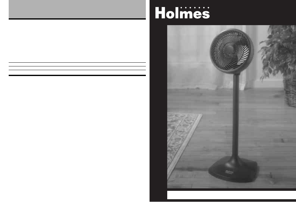 Holmes HASF99 User Manual | 4 pages