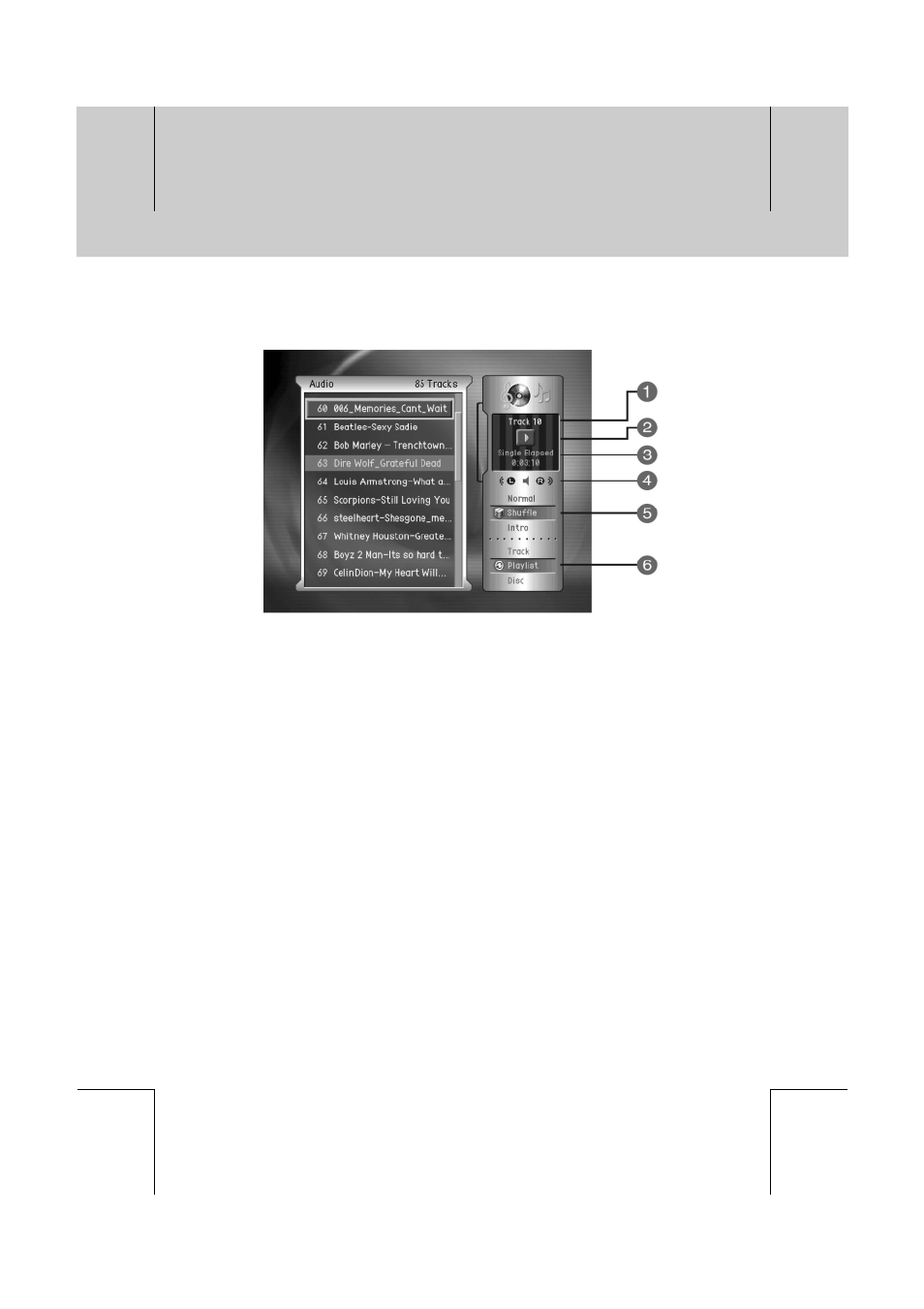 Playing a audio cd | Humax DV-1000T User Manual | Page 83 / 105