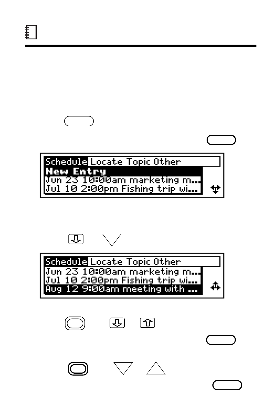 Scanning entries | Franklin IC-107 User Manual | Page 27 / 79