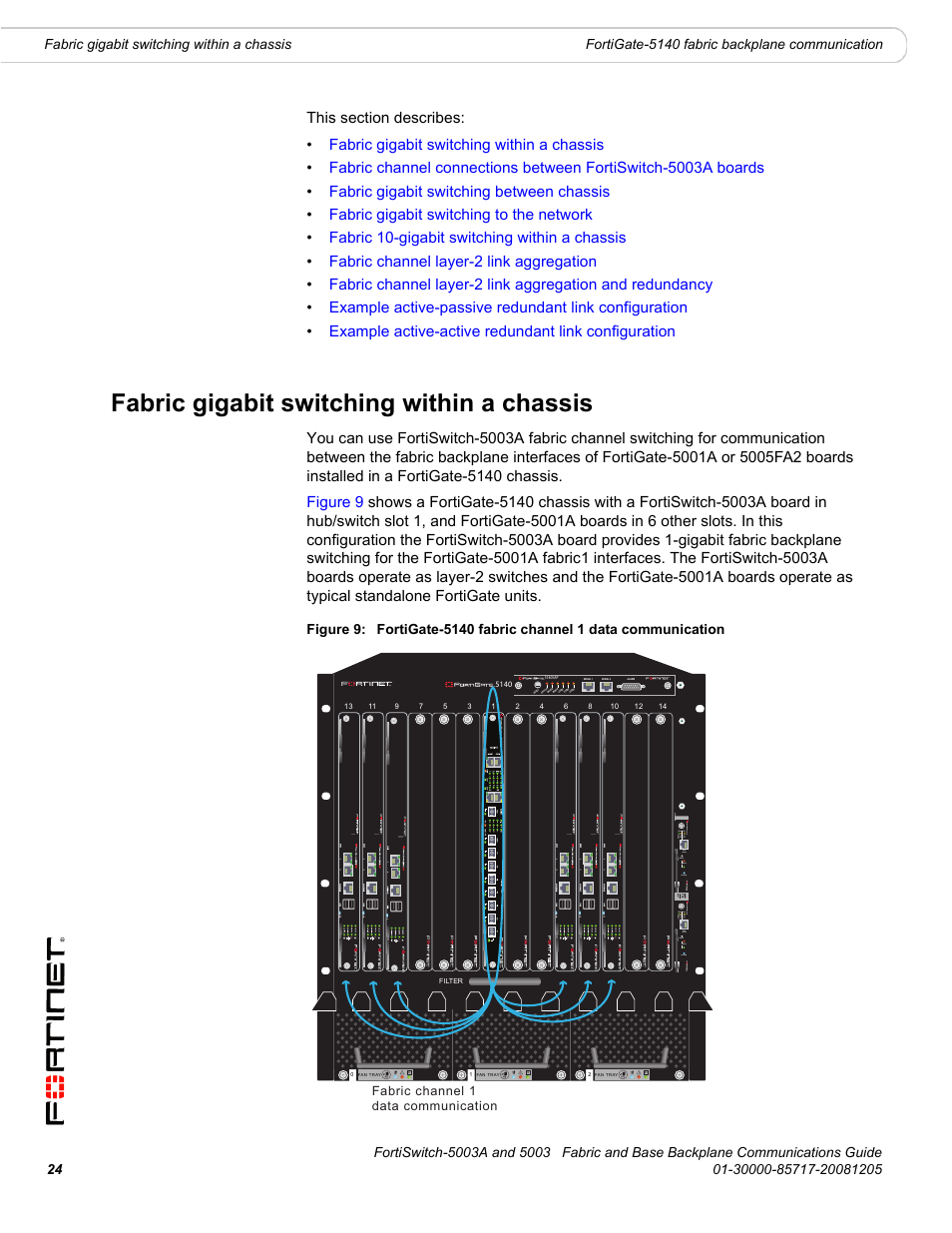 Fabric gigabit switching within a chassis | Fortinet 5003 User Manual | Page 24 / 128