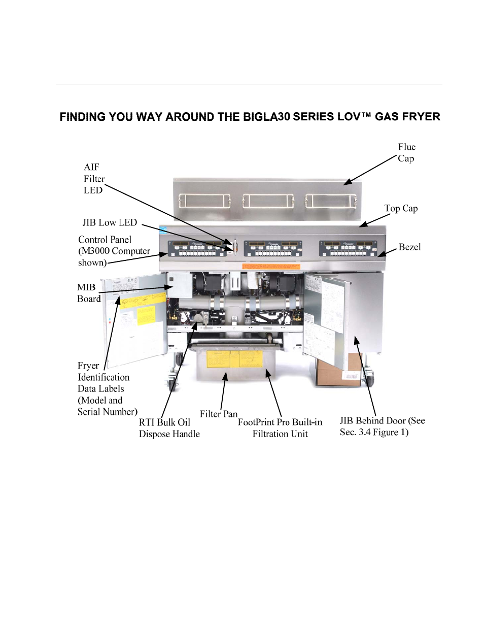 Frymaster SERIES GEN II LOVTM BIGLA30 User Manual | Page 19 / 86