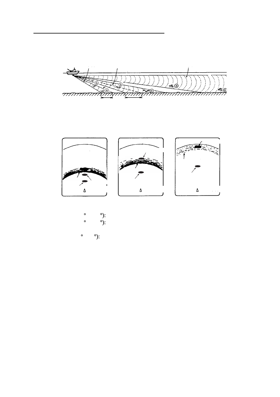 Furuno CH-300 User Manual | Page 33 / 124