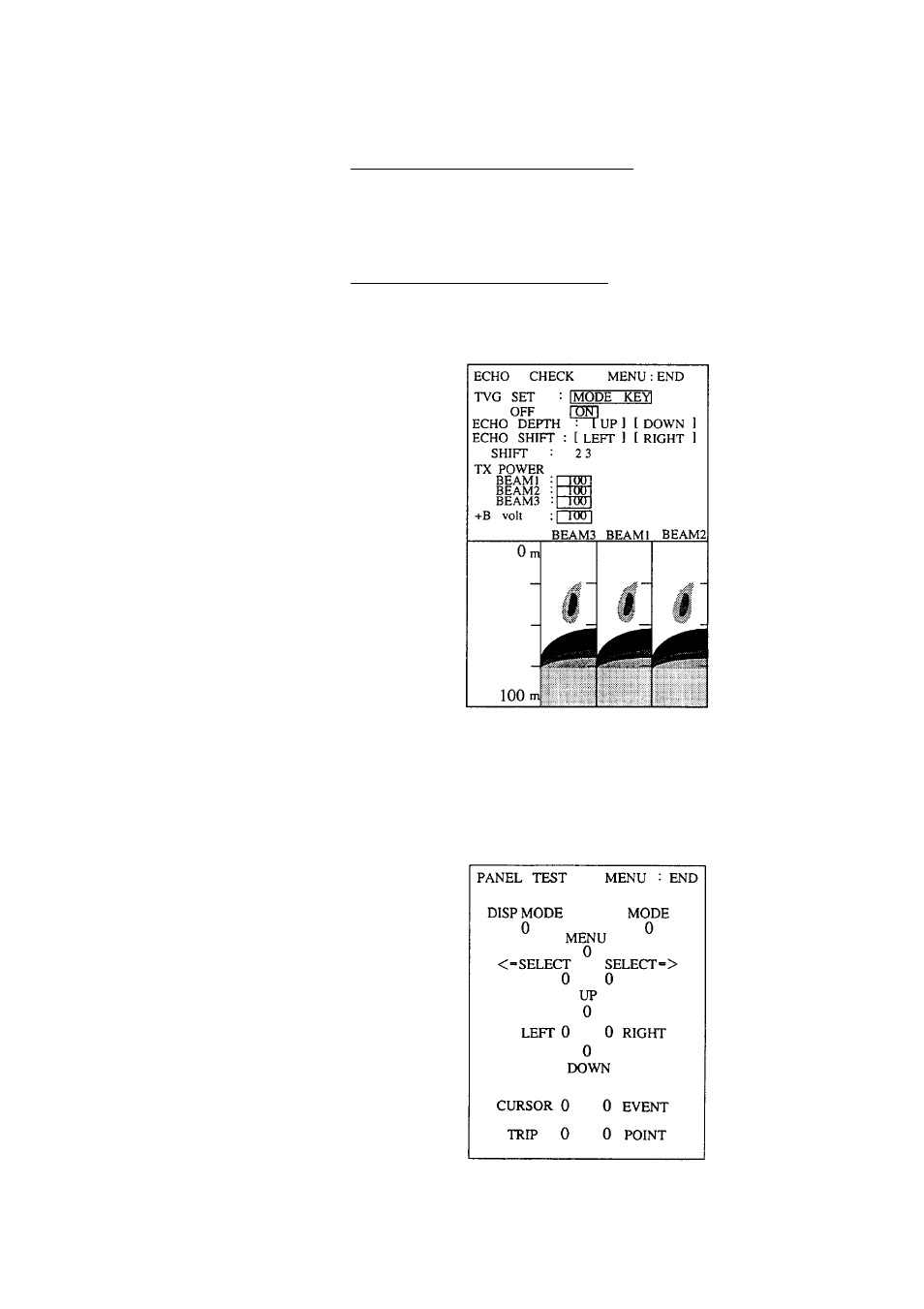 Echo test, Panel test | Furuno CI-80 User Manual | Page 39 / 41