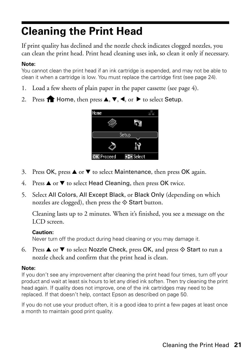 Cleaning the print head | FARGO electronic STYLUS NX625 User Manual | Page 21 / 60