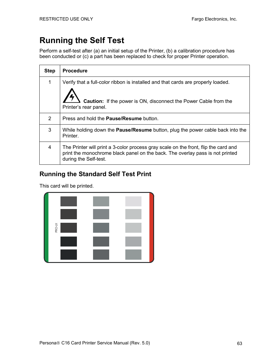 Running the self test, Running the standard self test print | FARGO electronic C16 User Manual | Page 72 / 259