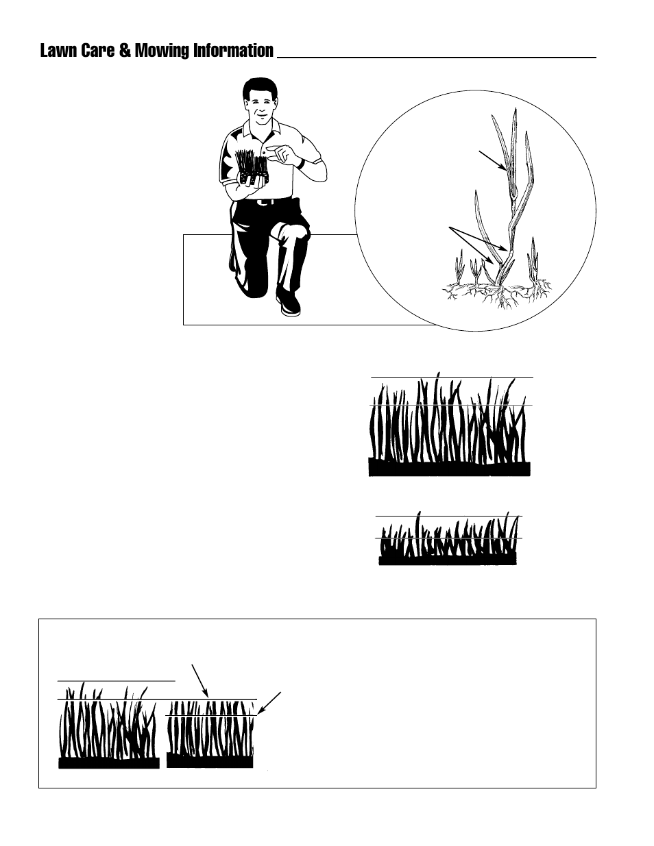 Lawn care & mowing information, How high to mow the grass, Cut less than | Ferris Industries Hydrowalk Series DDSKAV23CE User Manual | Page 36 / 43