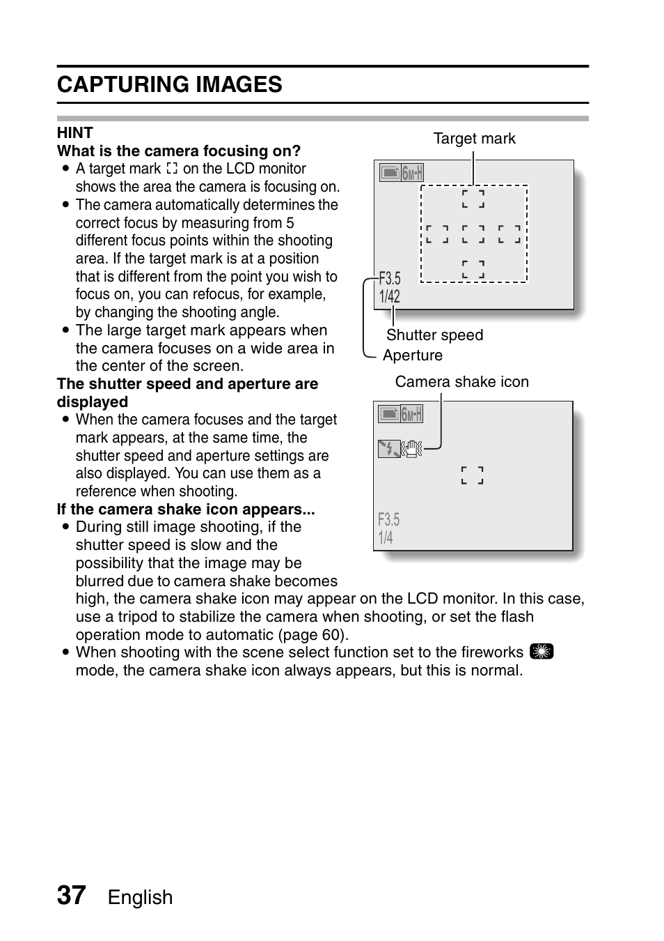 Capturing images, English | Fisher VPC-C6 User Manual | Page 43 / 192