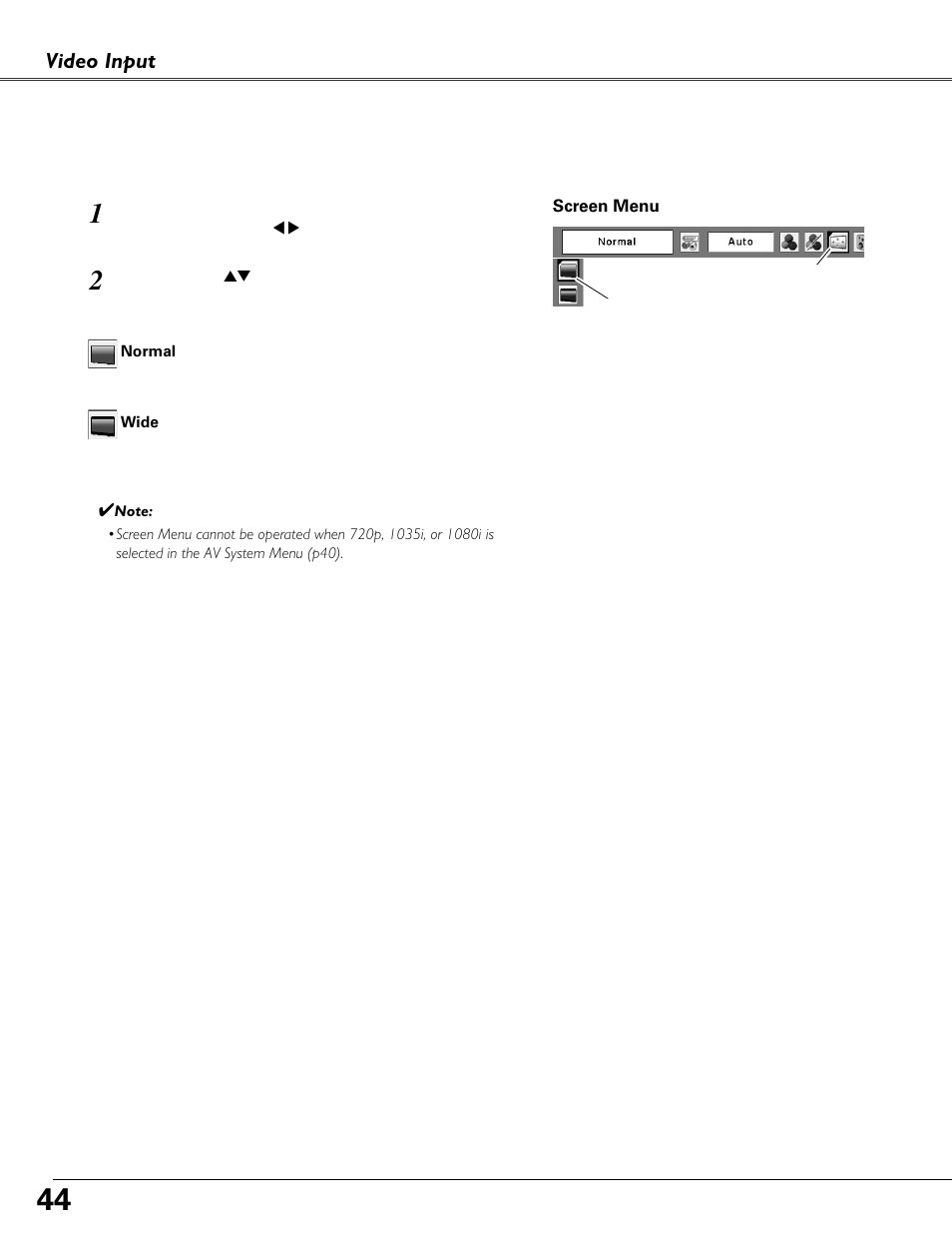 Screen size adjustment, Video input | Fisher PLC-XU87 User Manual | Page 44 / 73