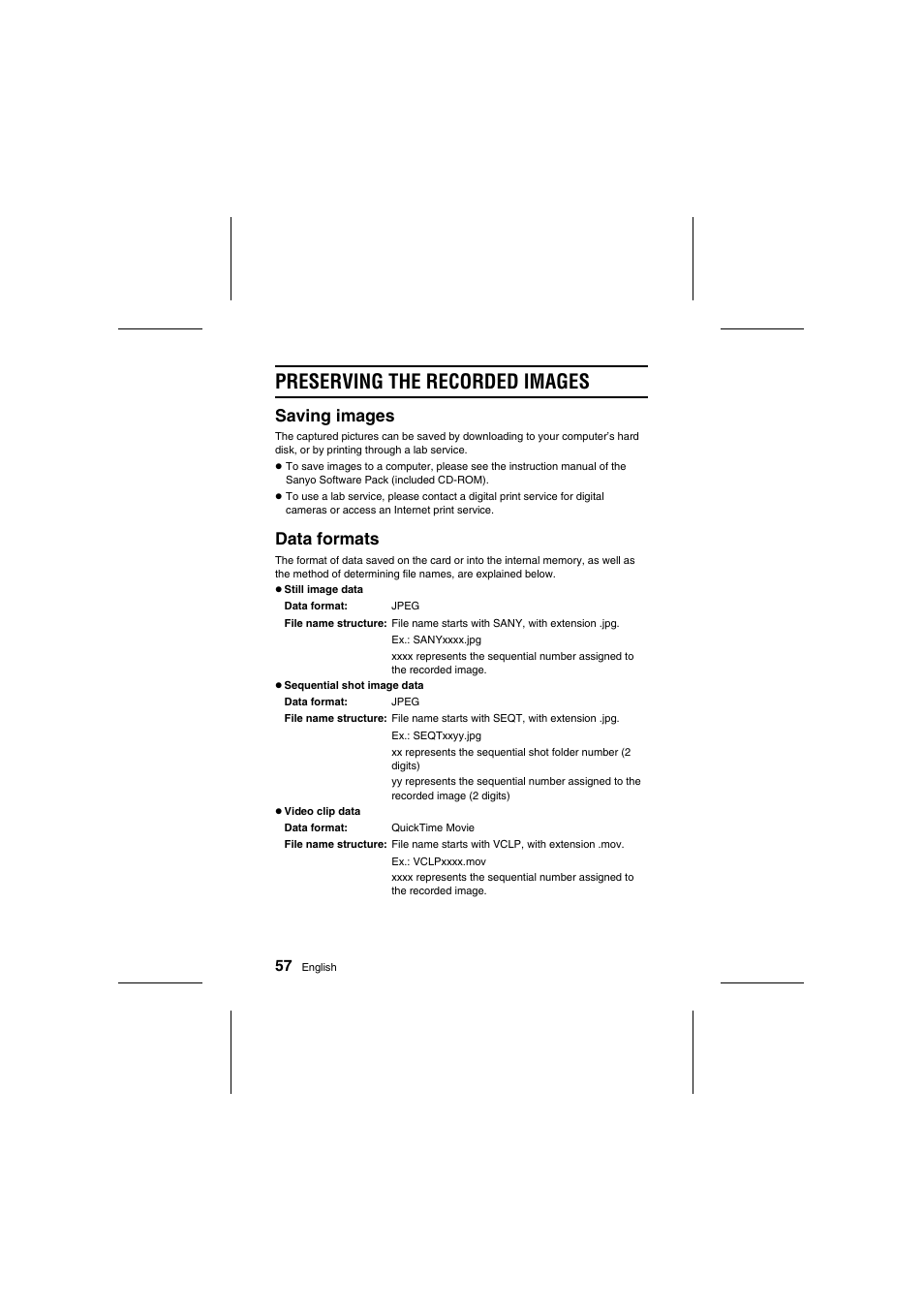 Preserving the recorded images, Saving images, Data formats | Fisher VPC-R1 User Manual | Page 62 / 87