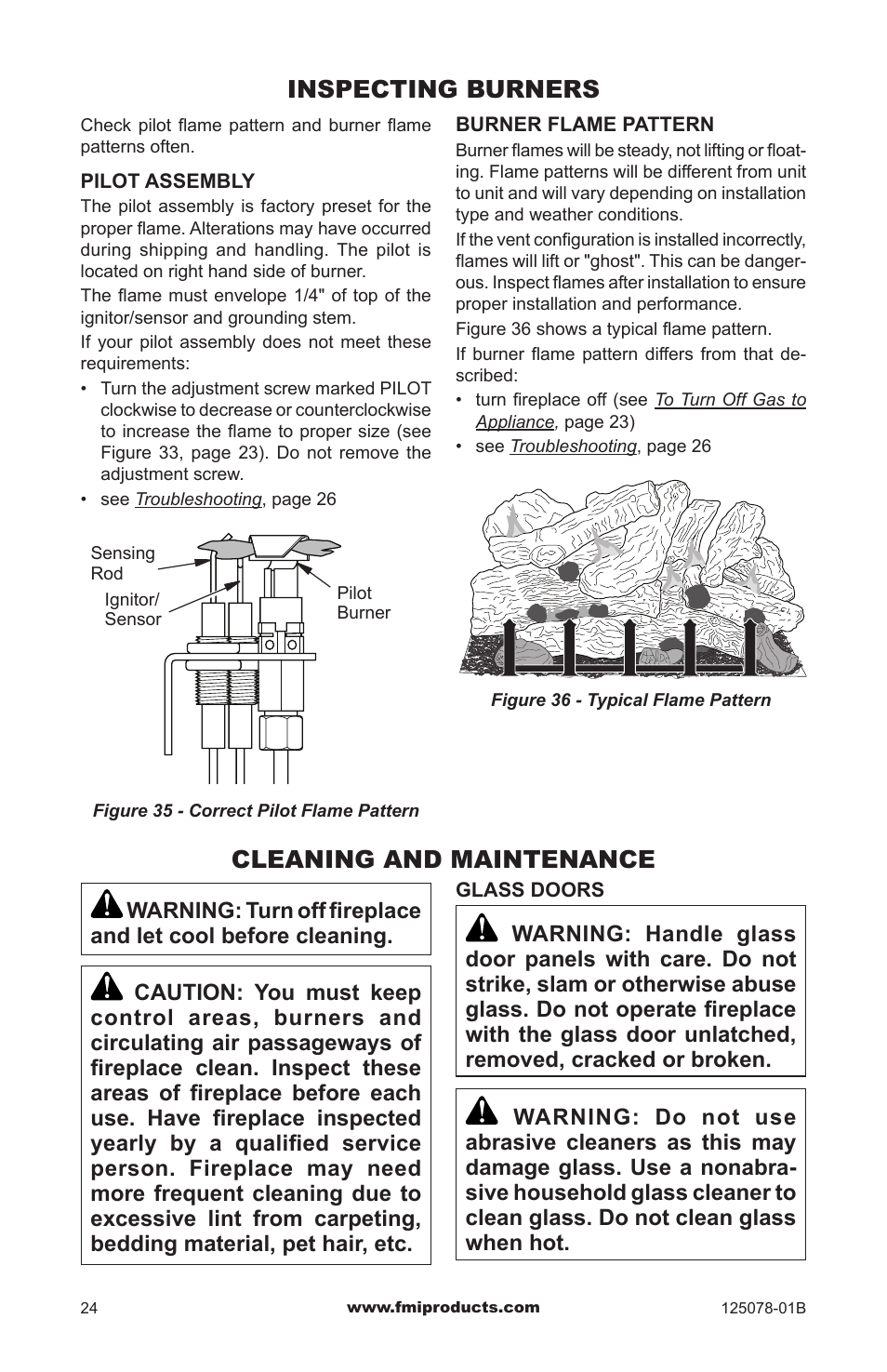 Inspecting burners, Cleaning and maintenance | FMI PFS DVF42NH-HA User Manual | Page 24 / 40