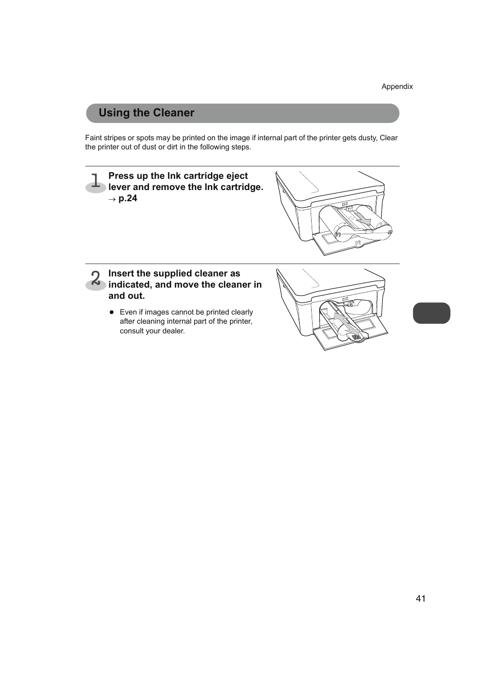Using the cleaner | FUNAI FDP-100 User Manual | Page 41 / 45