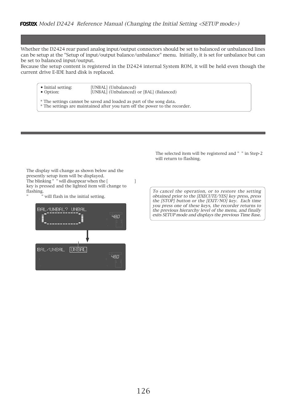 Setup of input/output balance/unbalance, Flashing | Fostex D2424 User Manual | Page 126 / 147