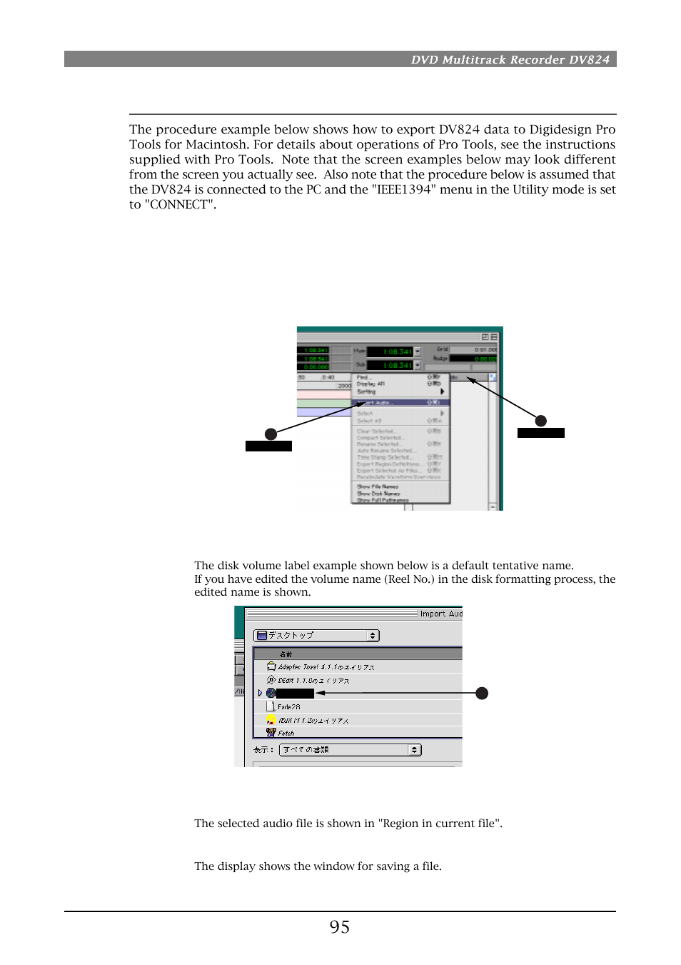 Fostex DV824 User Manual | Page 95 / 162