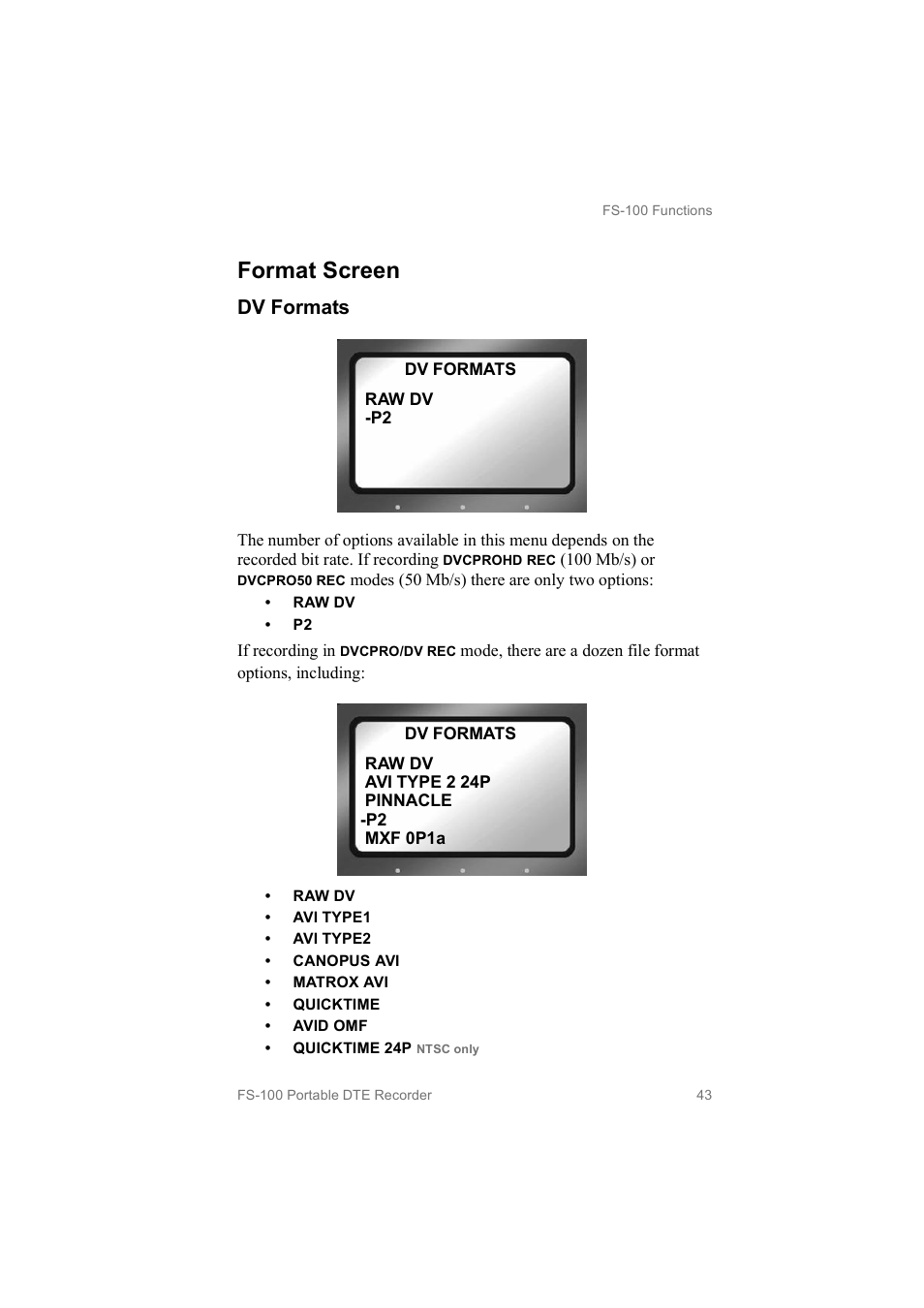 Format screen, Dv formats | FOCUS Enhancements MANL102306 User Manual | Page 61 / 120