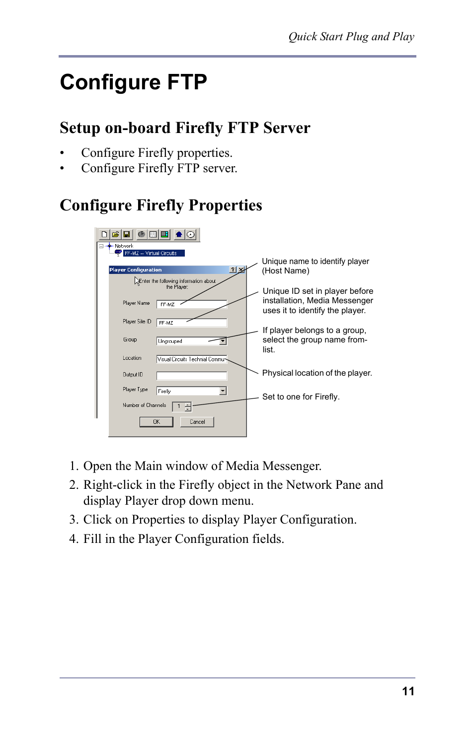 Configure ftp, Setup on-board firefly ftp server, Configure firefly properties | FOCUS Enhancements 3.2 User Manual | Page 25 / 206