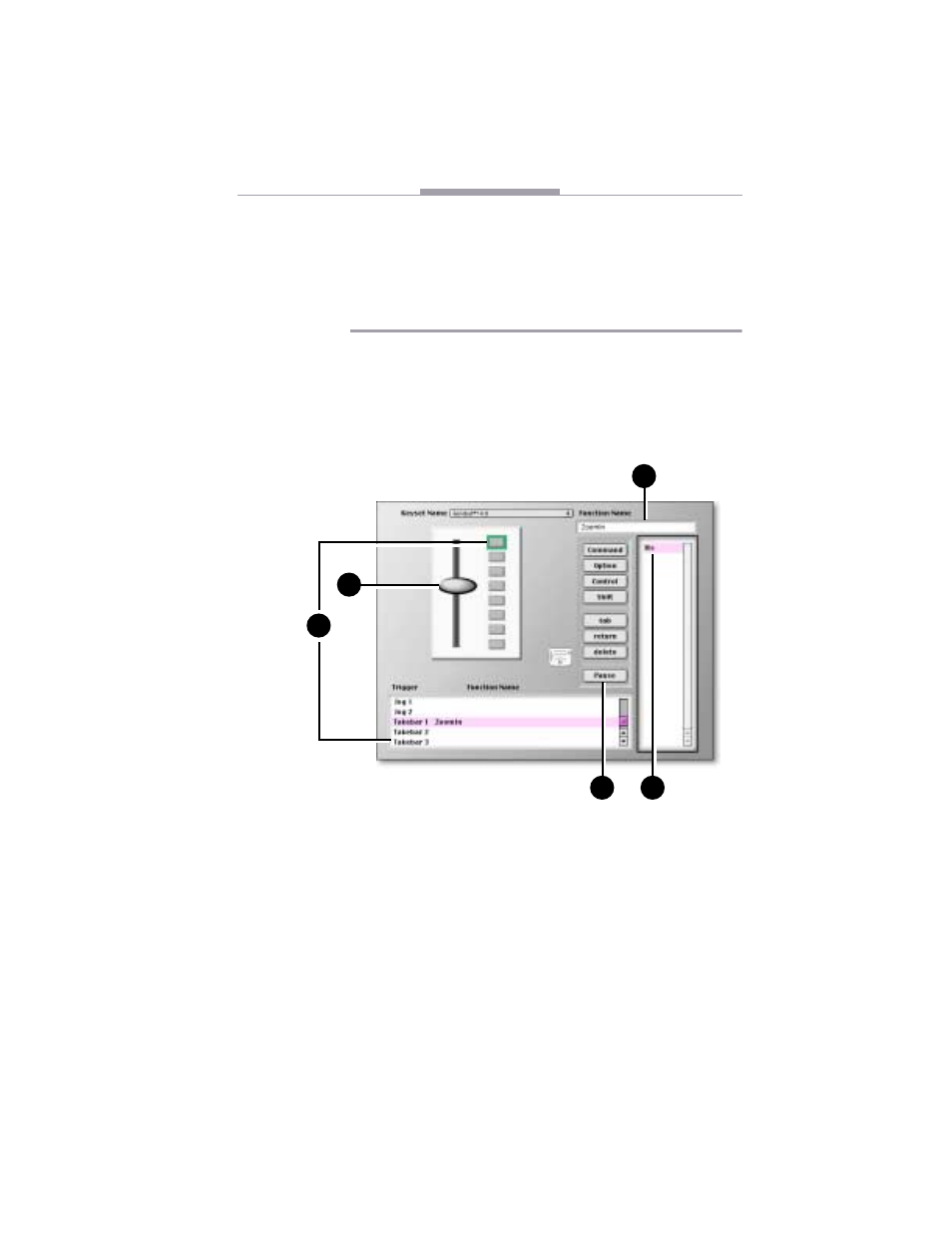 FOCUS Enhancements MANL-0823-01 User Manual | Page 39 / 52