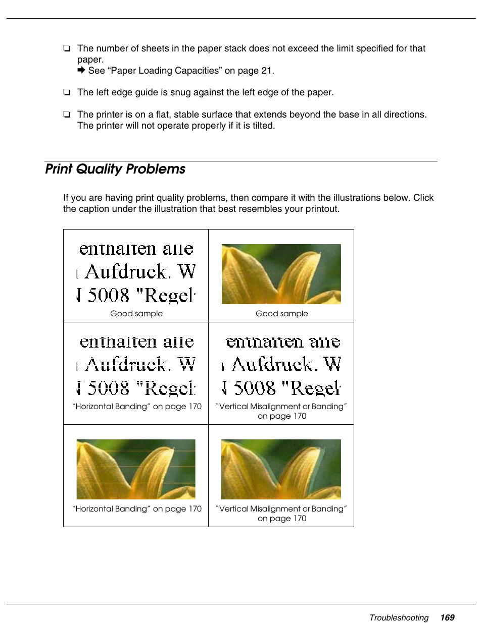 Print quality problems | Falcon B-300 User Manual | Page 169 / 201