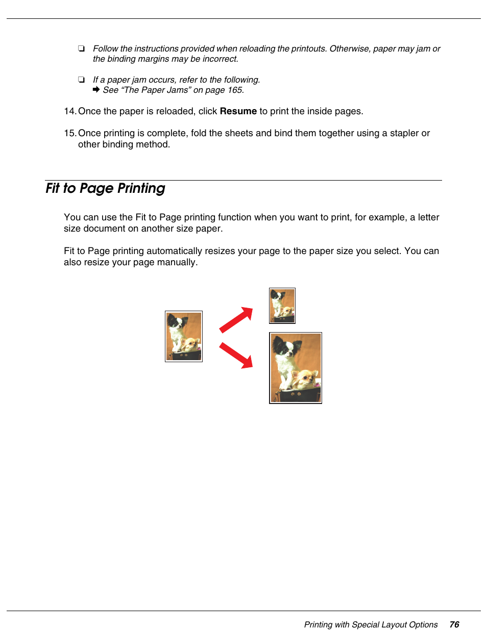 Fit to page printing | Falcon B-300 User Manual | Page 76 / 201