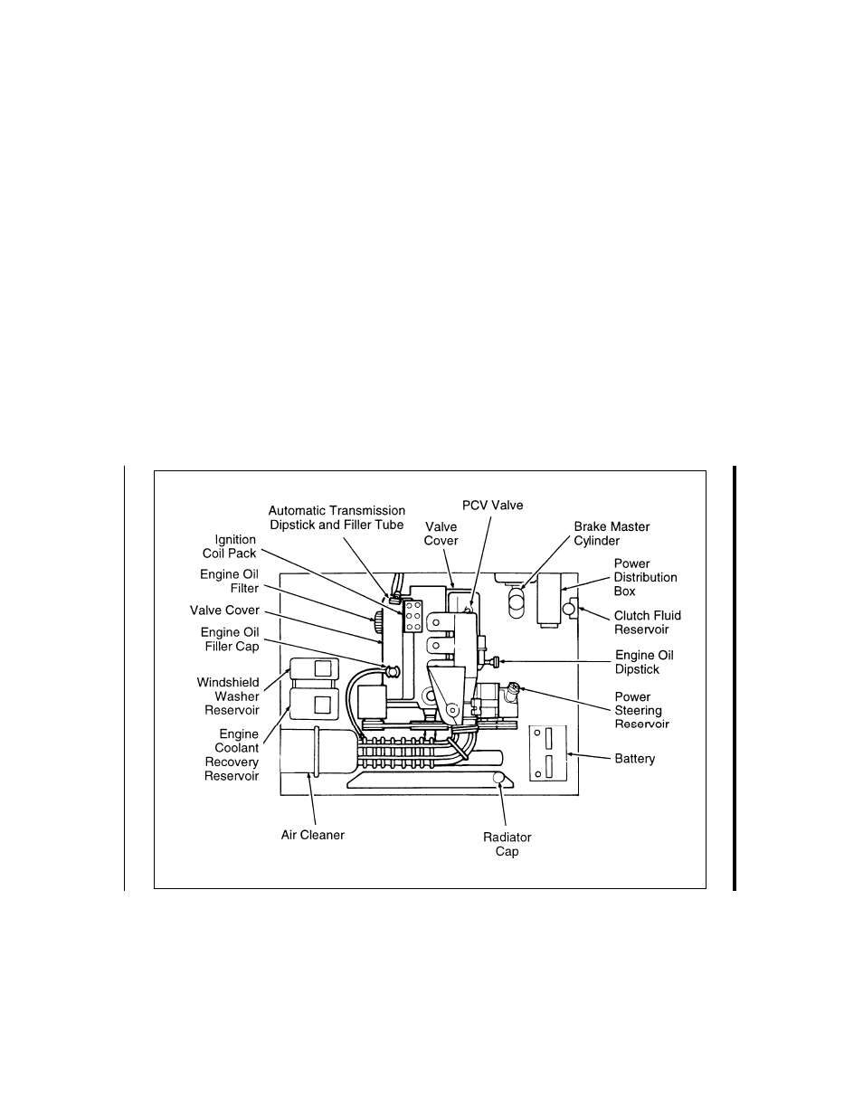 Servicing your ranger | FORD Ranger User Manual | Page 264 / 369