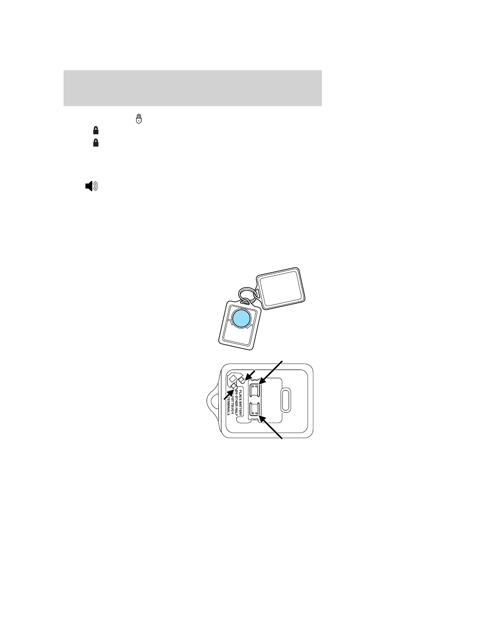 Locking the doors, Sounding a panic alarm, Replacing the battery | Locks and security | FORD 2006 E-150 User Manual | Page 55 / 248