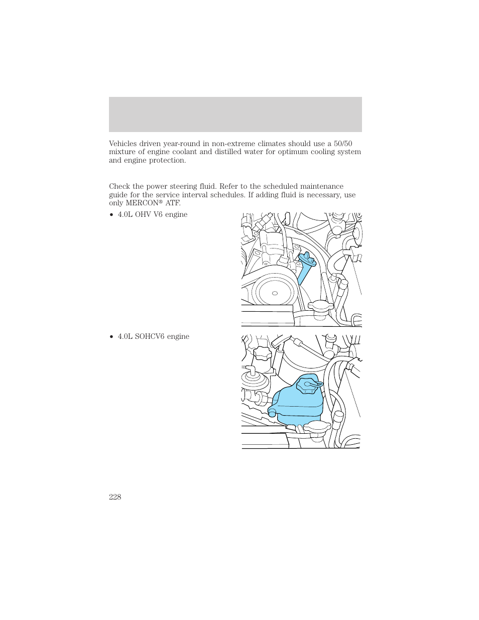 Maintenance and care | FORD 2000 Explorer User Manual | Page 228 / 296