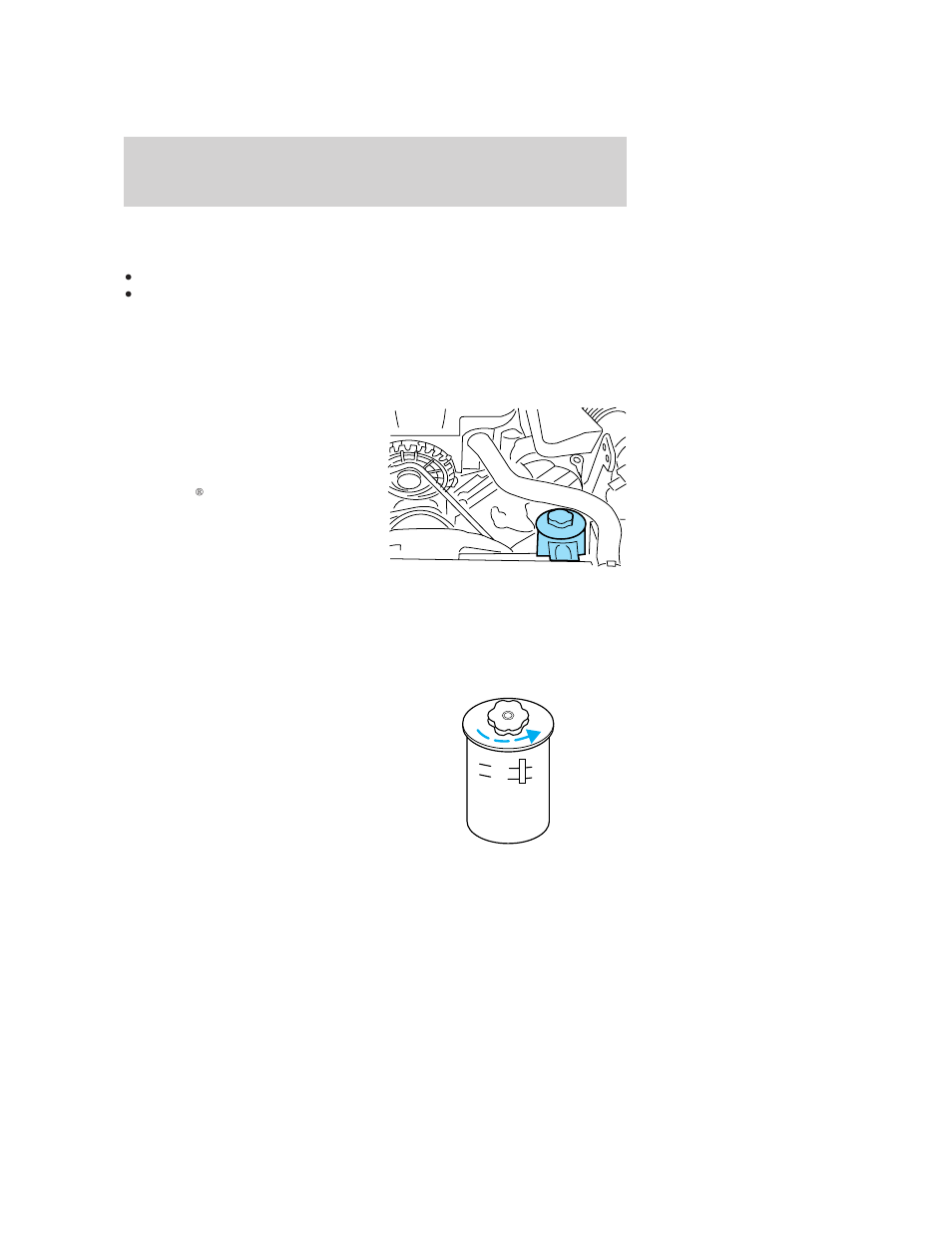 Power steering fluid, Maintenance and specifications | FORD 2006 Crown Victoria User Manual | Page 247 / 272