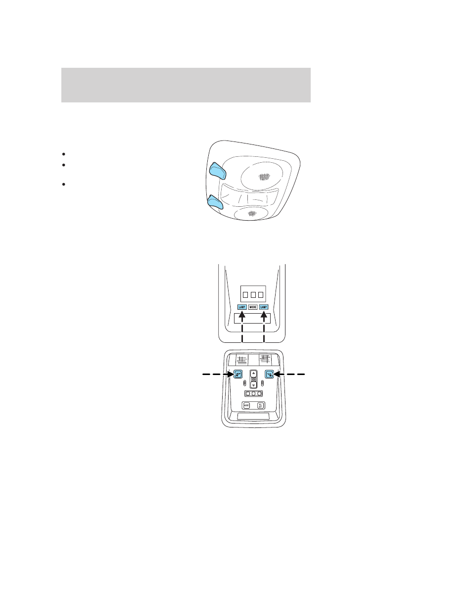 Interior lamps, Map/courtesy lamps, Lights | FORD 2006 Crown Victoria User Manual | Page 43 / 272