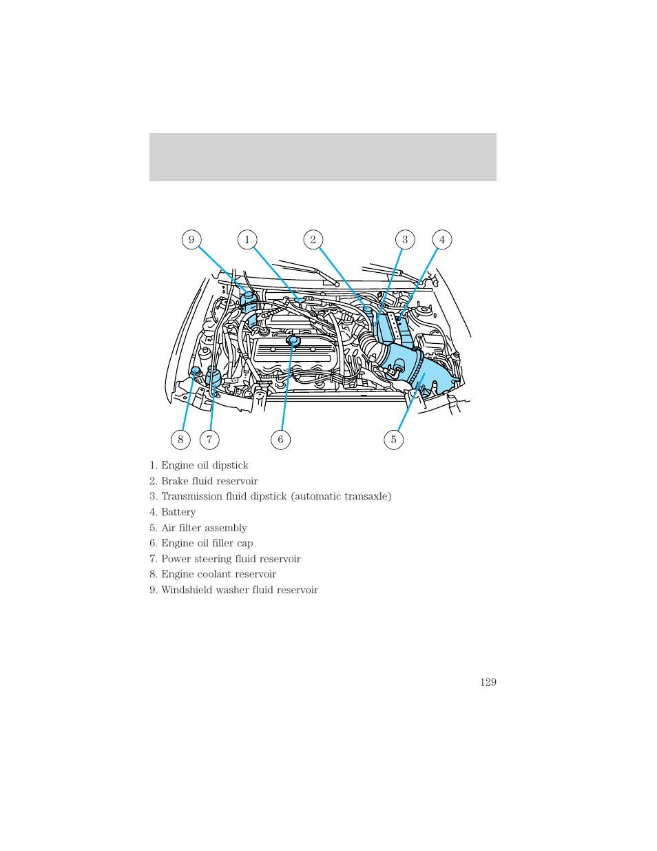 Maintenance and care | FORD 1999 Escort User Manual | Page 129 / 200