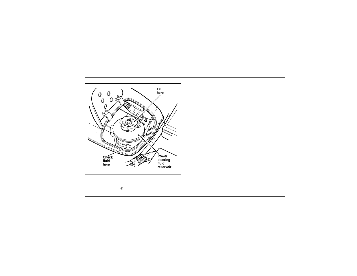 Automatic transmission fluid | FORD 1999 Taurus User Manual | Page 239 / 315
