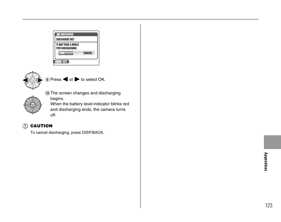 FujiFilm FinePix A900 User Manual | Page 123 / 164