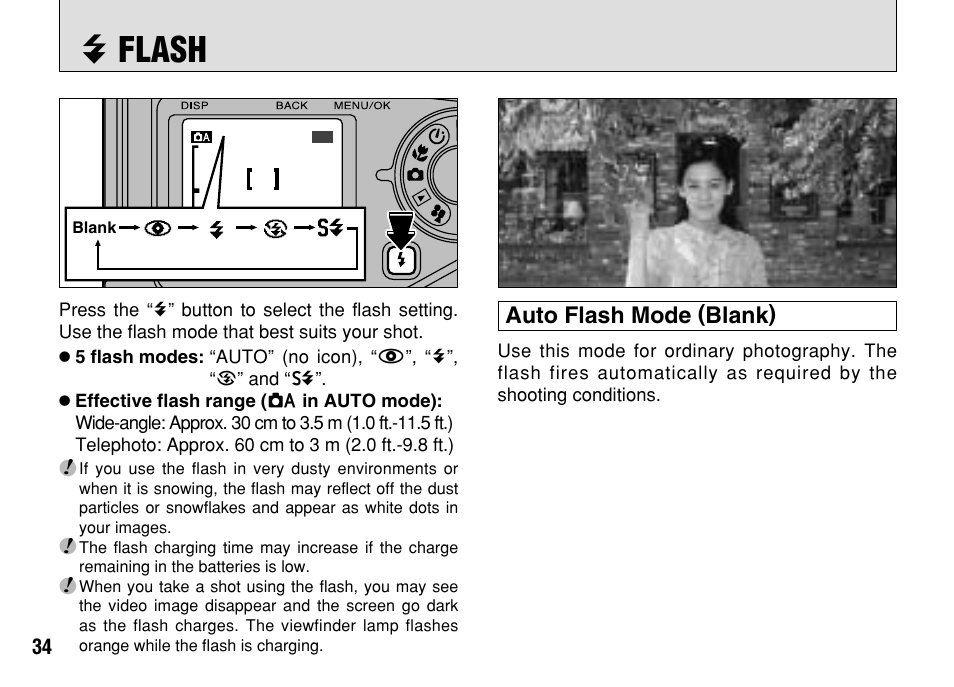 C flash, Auto flash mode (blank) | FujiFilm FinePix A303 User Manual | Page 34 / 132