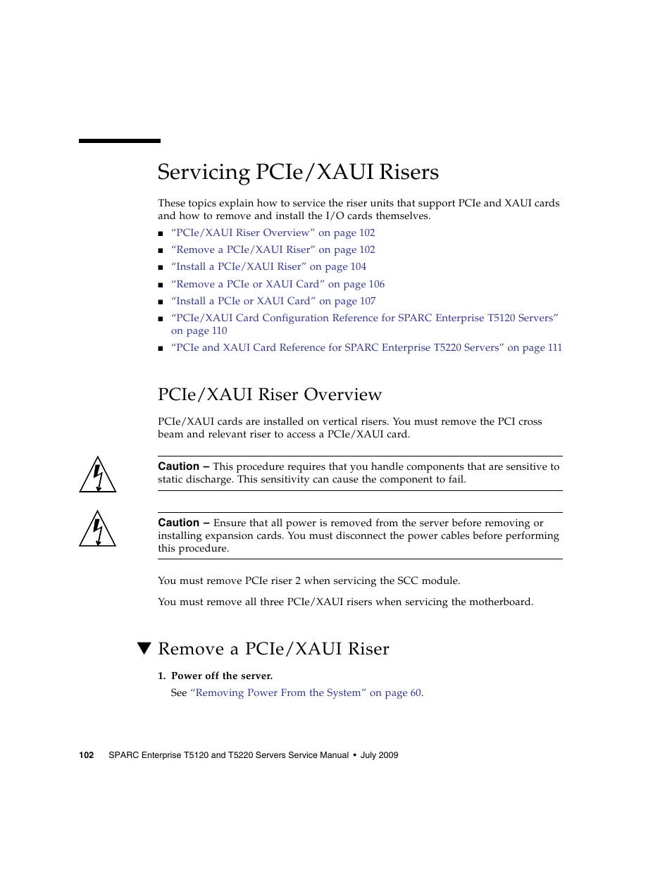 Servicing pcie/xaui risers, Pcie/xaui riser overview, Remove a pcie/xaui riser | FUJITSU SPARC T5120 User Manual | Page 128 / 240