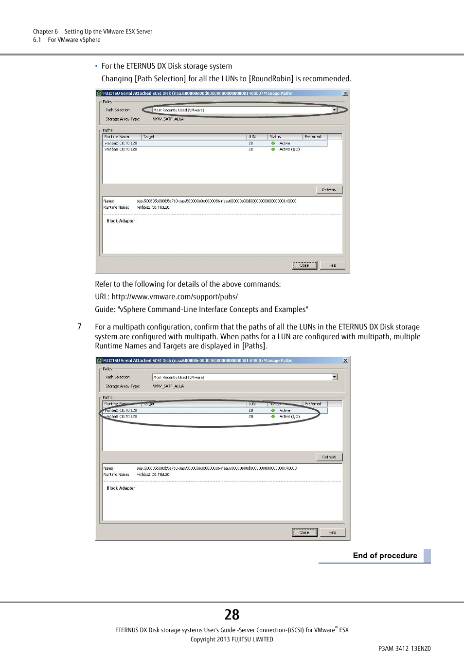 FUJITSU Eturneus Disk Storage System (ISCSI) for VMware ESX User Manual | Page 28 / 42
