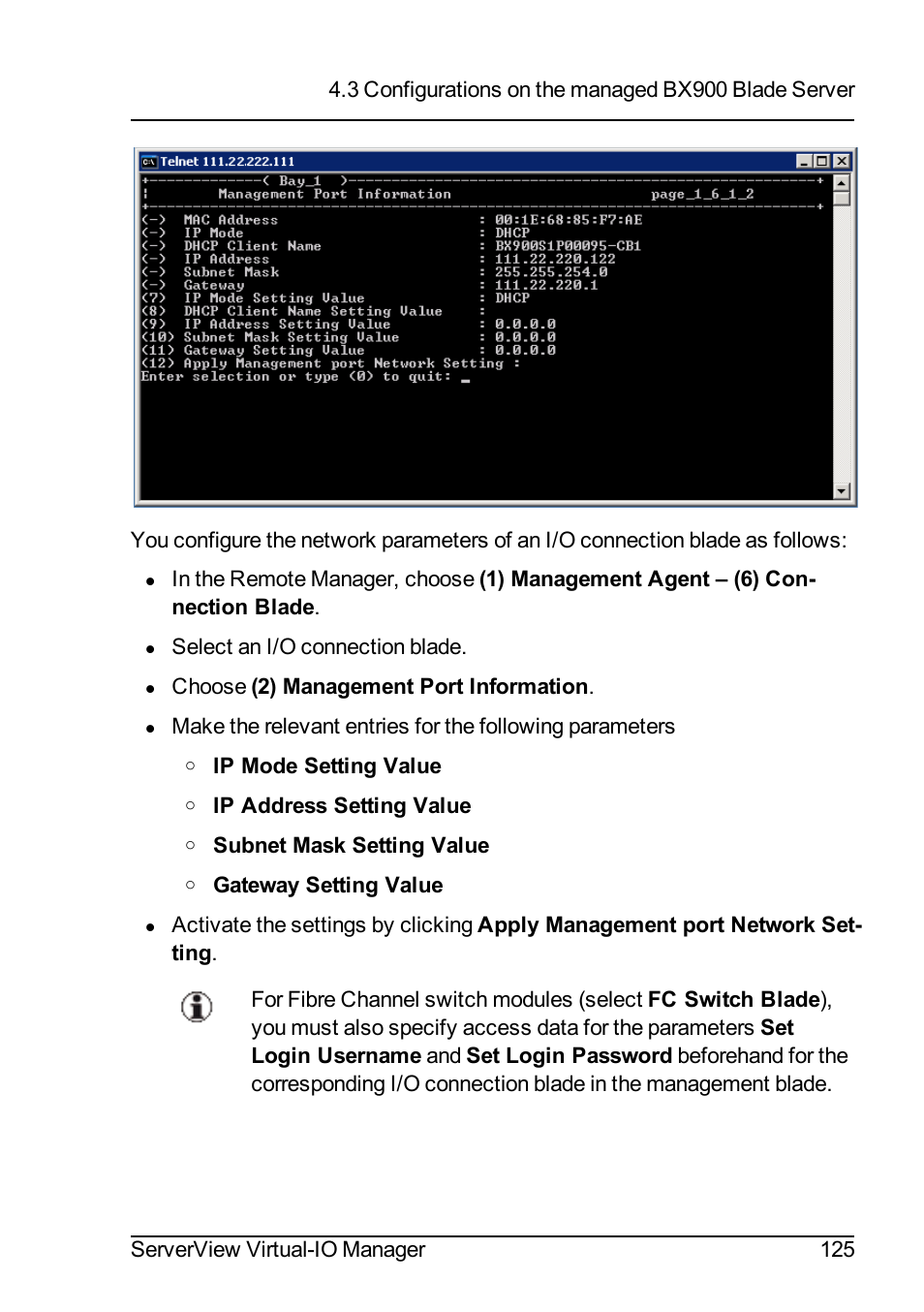 FUJITSU ServerView Virtual-IO Manager V3.1 User Manual | Page 125 / 362