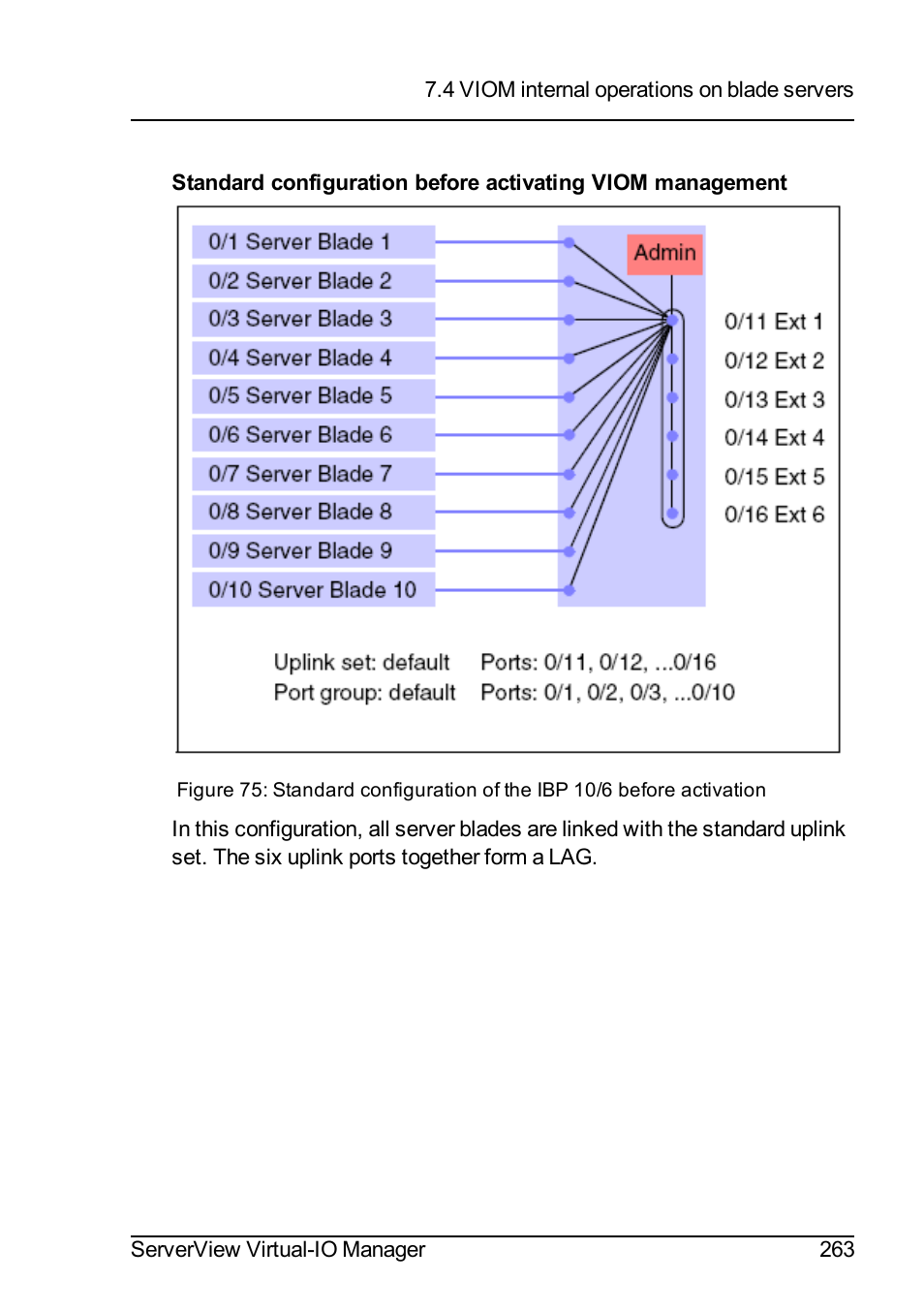 FUJITSU ServerView Virtual-IO Manager V3.1 User Manual | Page 263 / 362