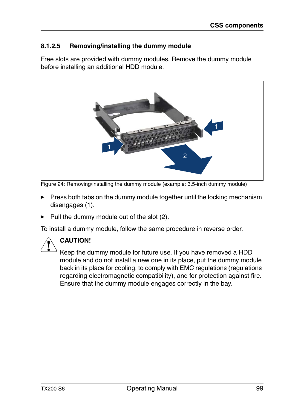 Removing/installing the dummy module | FUJITSU Server TX200 S6 User Manual | Page 99 / 126
