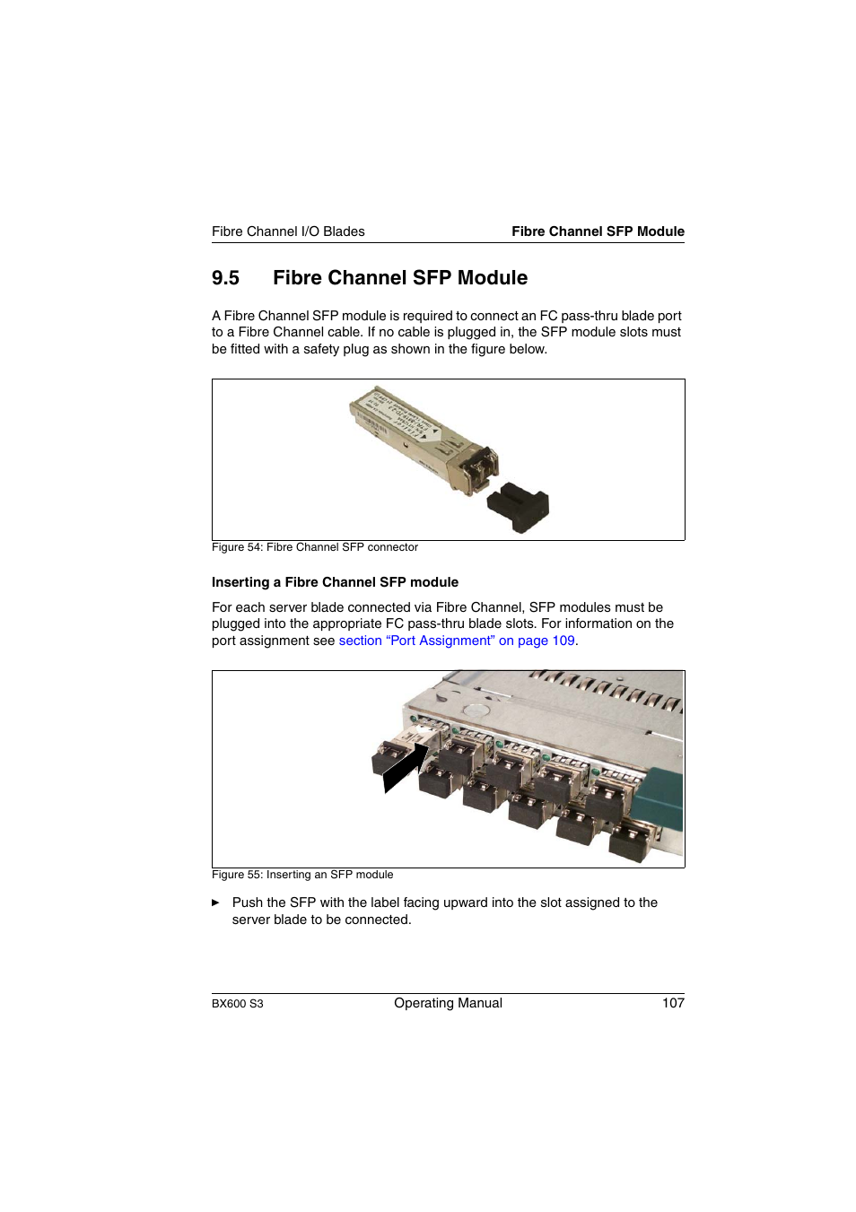 Fibre channel sfp module, Section “fibre channel sfp module” on, 5 fibre channel sfp module | FUJITSU PRIMERGY BX600 S3 User Manual | Page 107 / 164