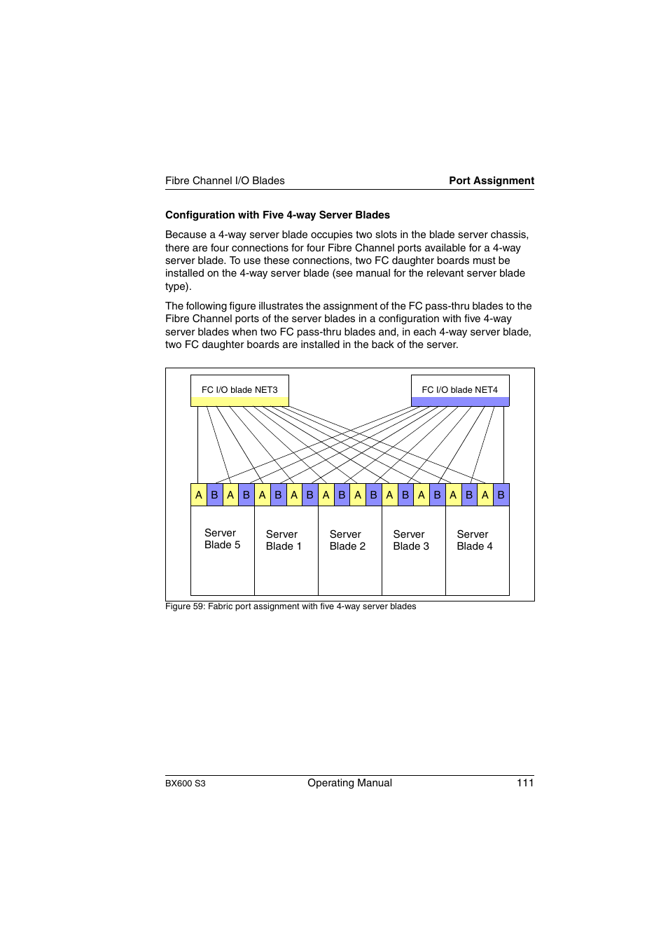 FUJITSU PRIMERGY BX600 S3 User Manual | Page 111 / 164