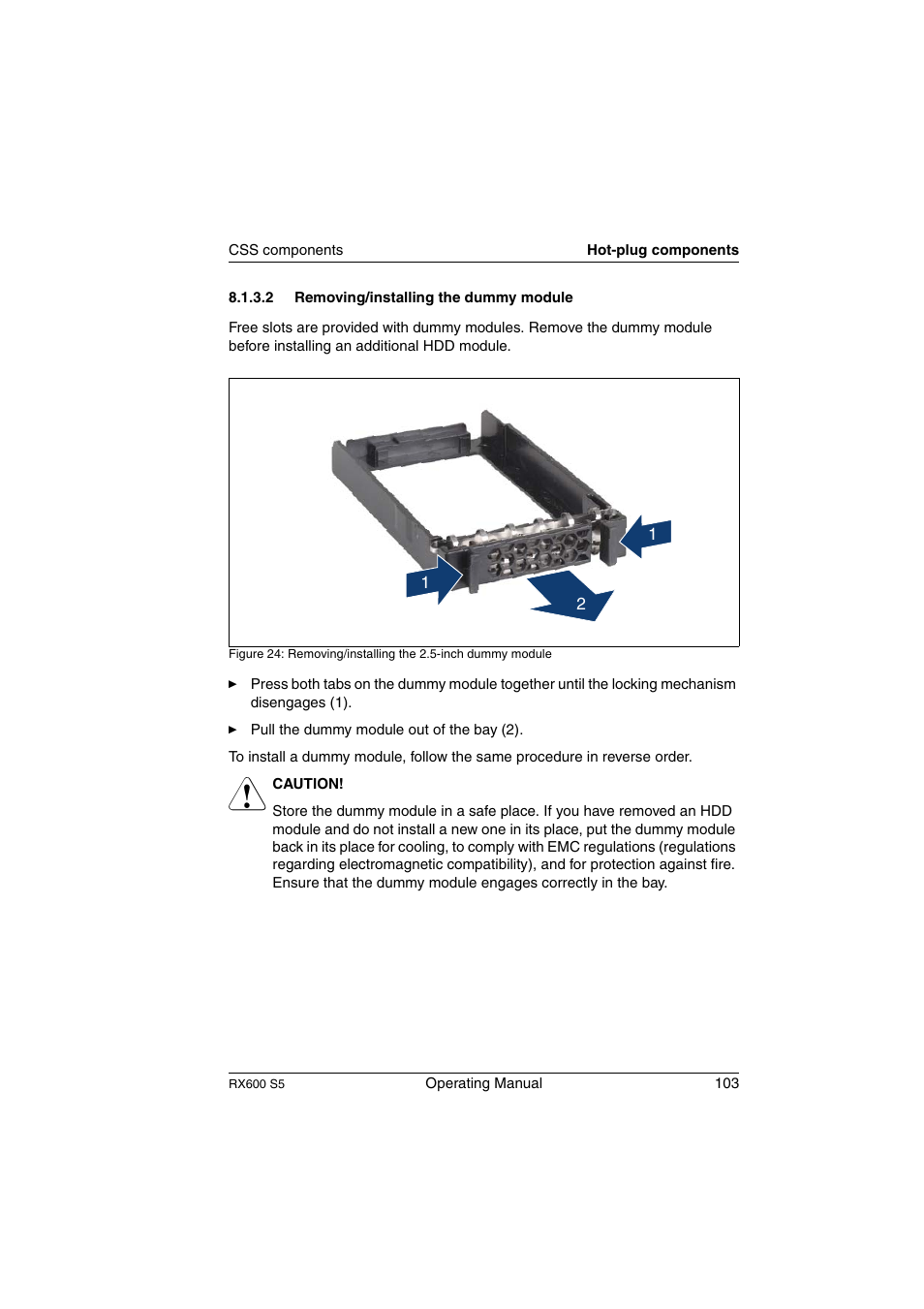 Removing/installing the dummy module | FUJITSU PRIMERGY RX600 S5 User Manual | Page 103 / 148
