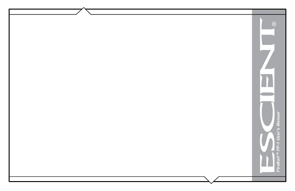 Flying Pig Systems FireBallTM FP-1 User Manual | Page 10 / 77