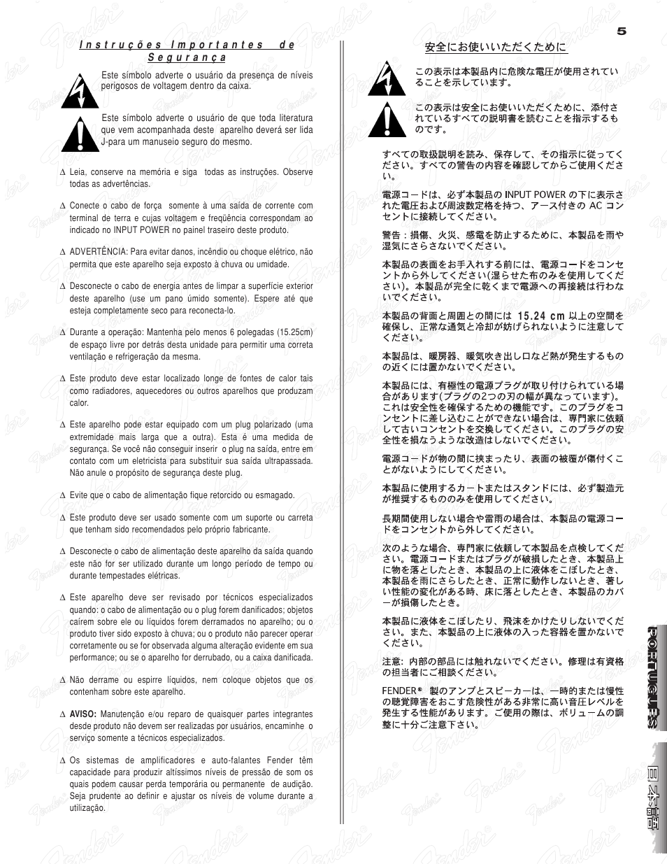 Fender Steel King User Manual | Page 5 / 20
