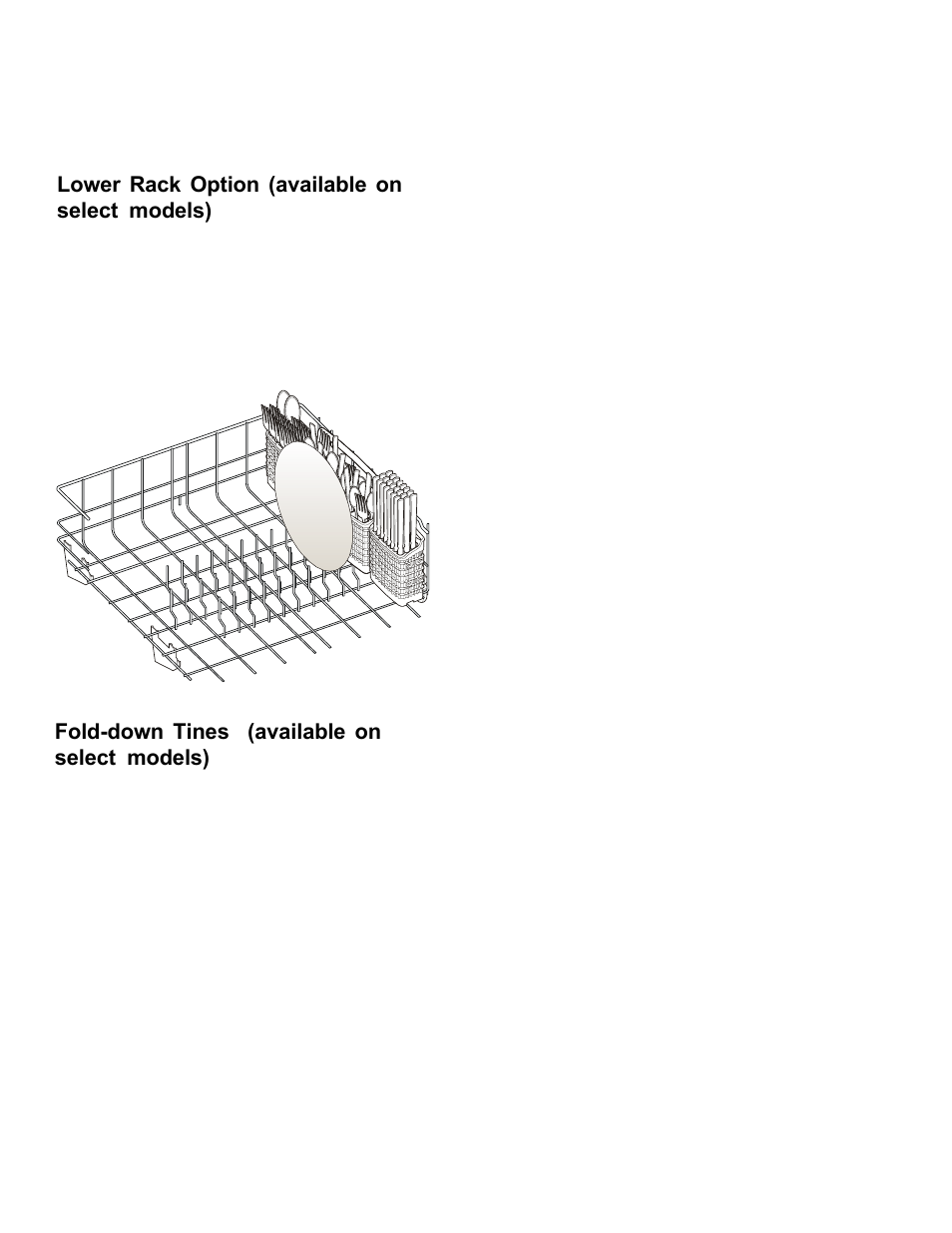 FRIGIDAIRE 3000 SpeedClean Series User Manual | Page 12 / 20